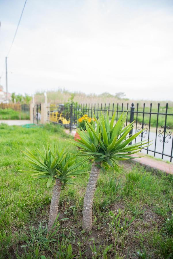 Garden Suite Néa Péramos Kültér fotó